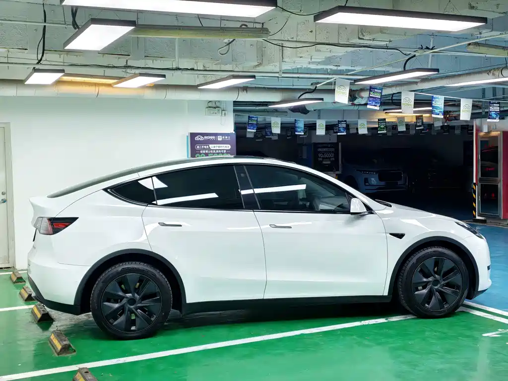 Tesla Model Y — фото 6