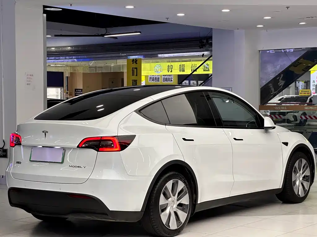 Tesla Model Y — фото 3