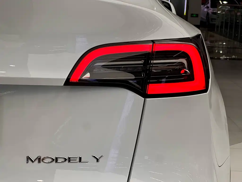 Tesla Model Y — фото 8