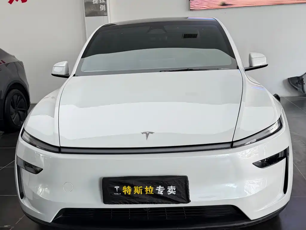 Tesla Model Y — фото 2