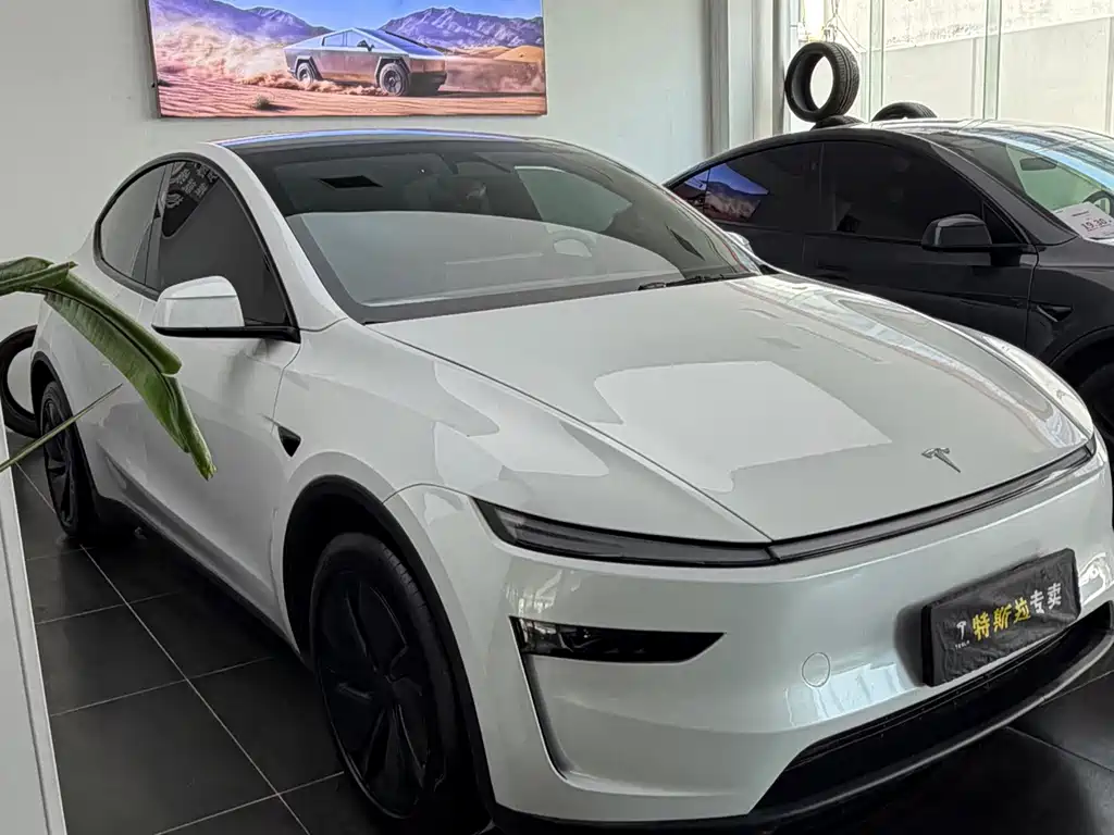 Tesla Model Y — фото 3