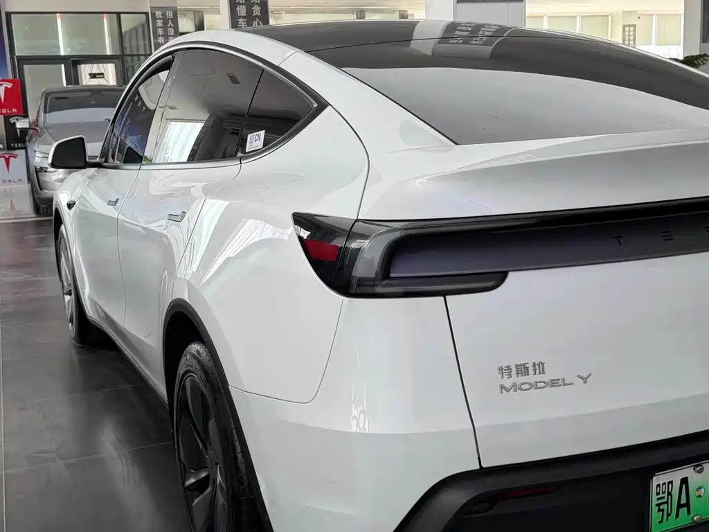 Tesla Model Y — фото 5