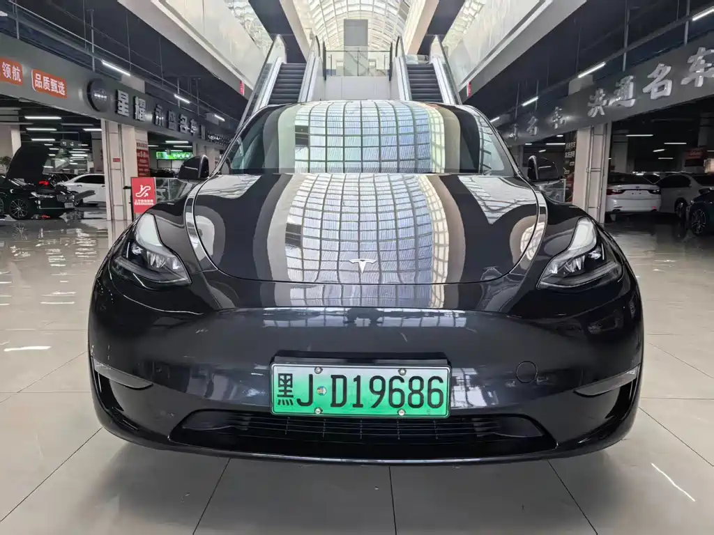 Tesla Model Y — фото 2