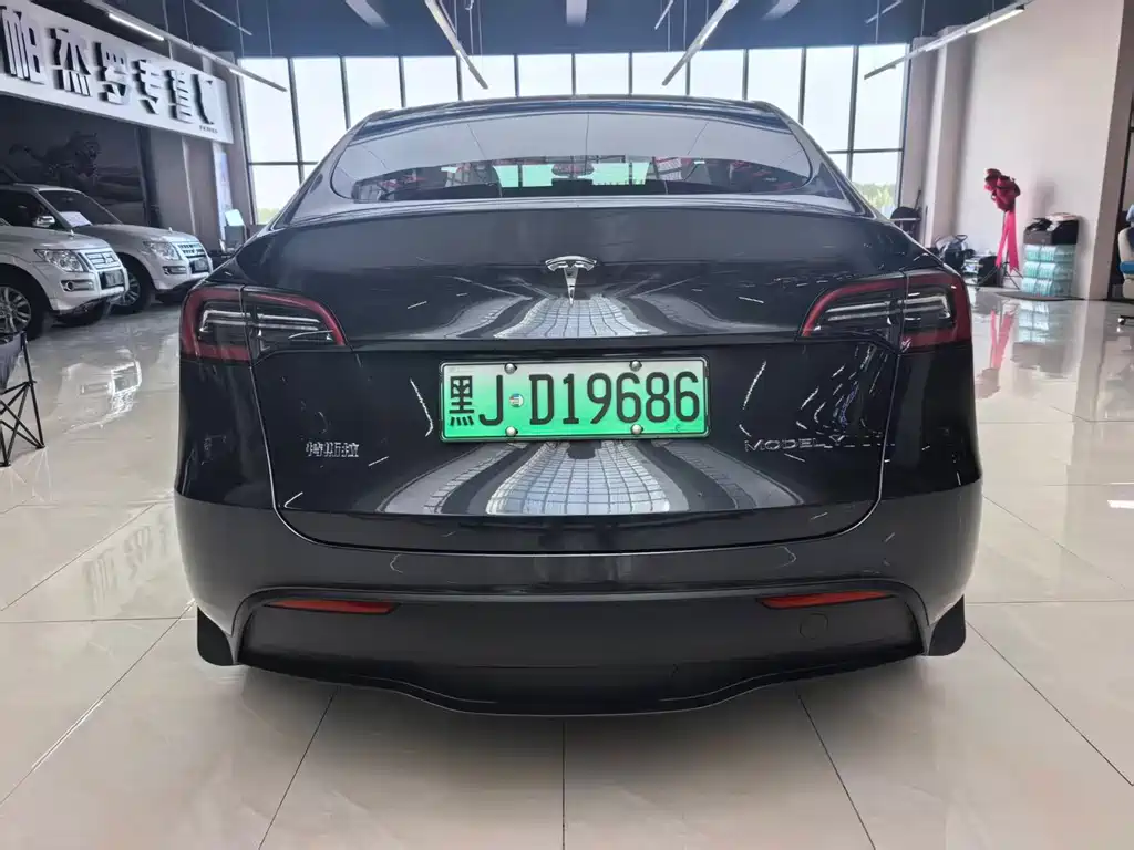 Tesla Model Y — фото 5
