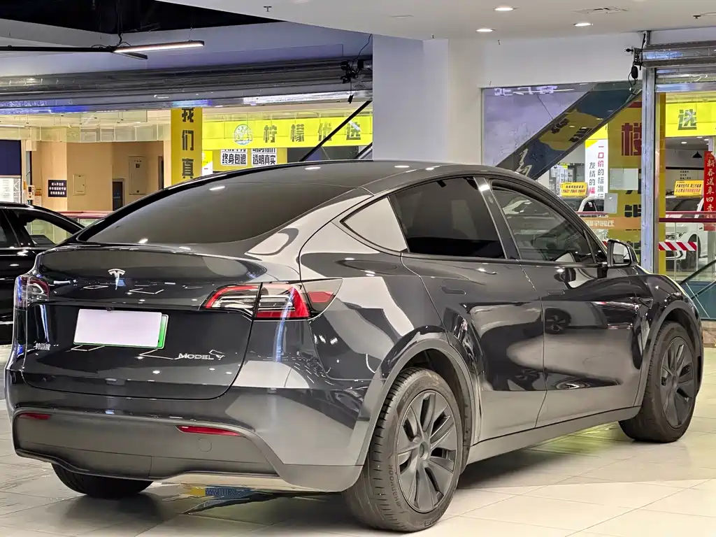 Tesla Model Y — фото 3