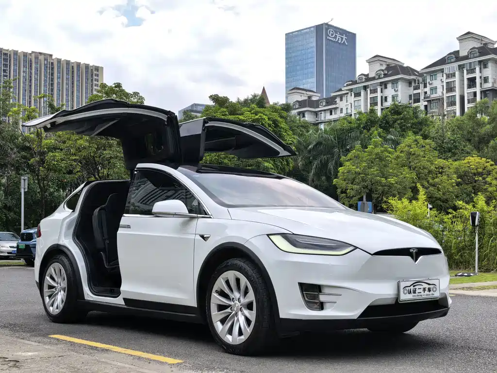 Tesla Model X — фото 3