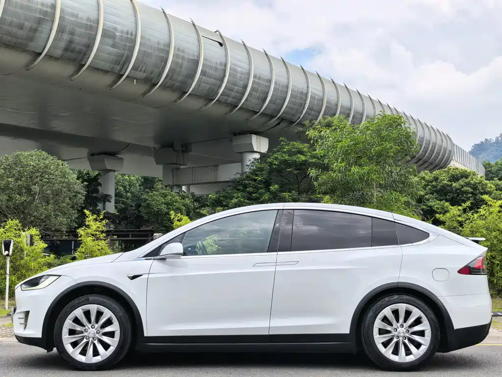 Tesla Model X — фото 4