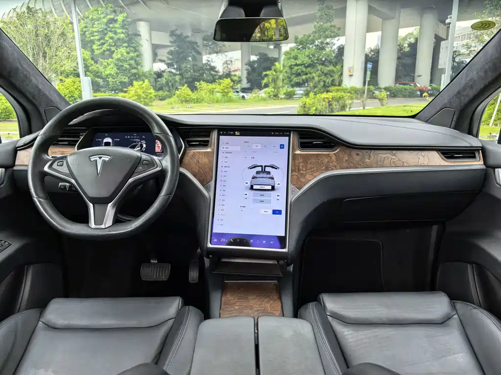 Tesla Model X — фото 6