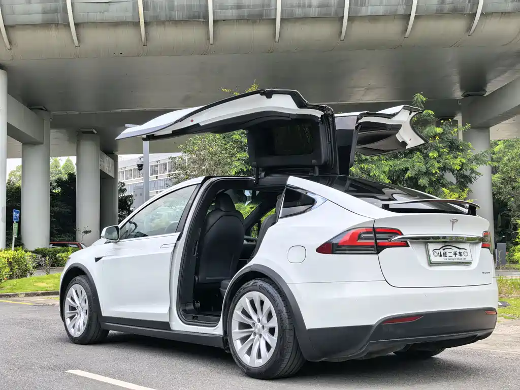 Tesla Model X — фото 9