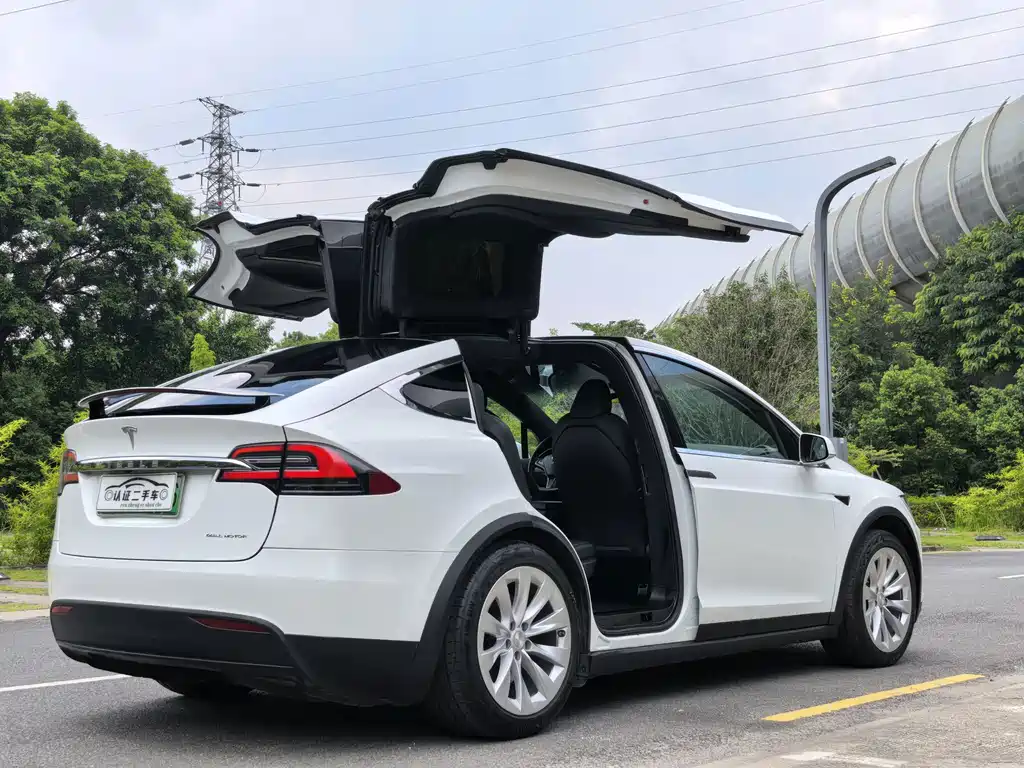 Tesla Model X — фото 10