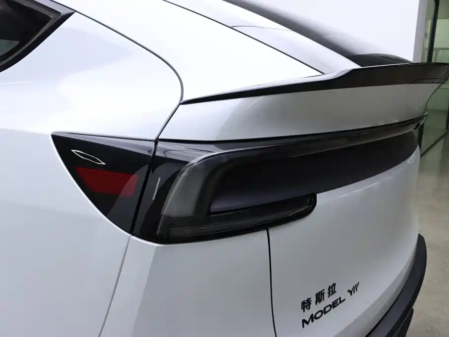 Tesla Model Y L — фото 29