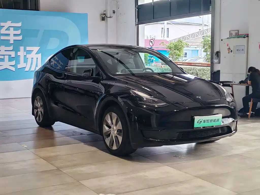 Tesla Model Y — фото 3