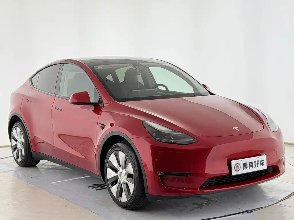 Tesla Model Y — фото 3