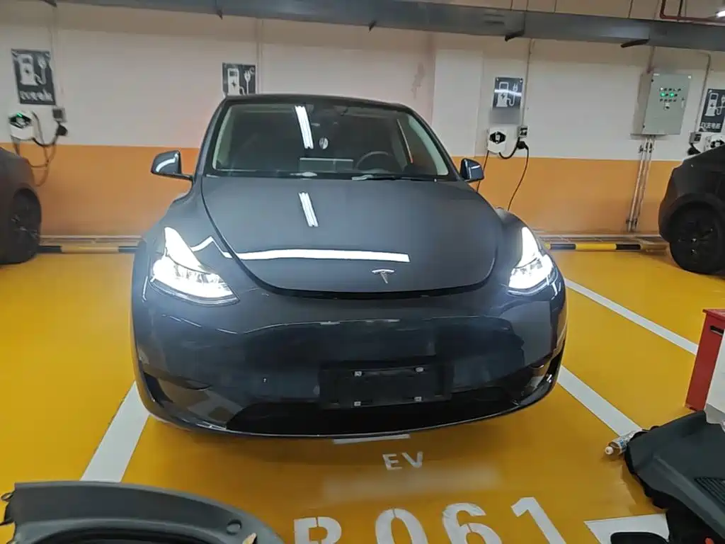 Tesla Model Y — фото 3