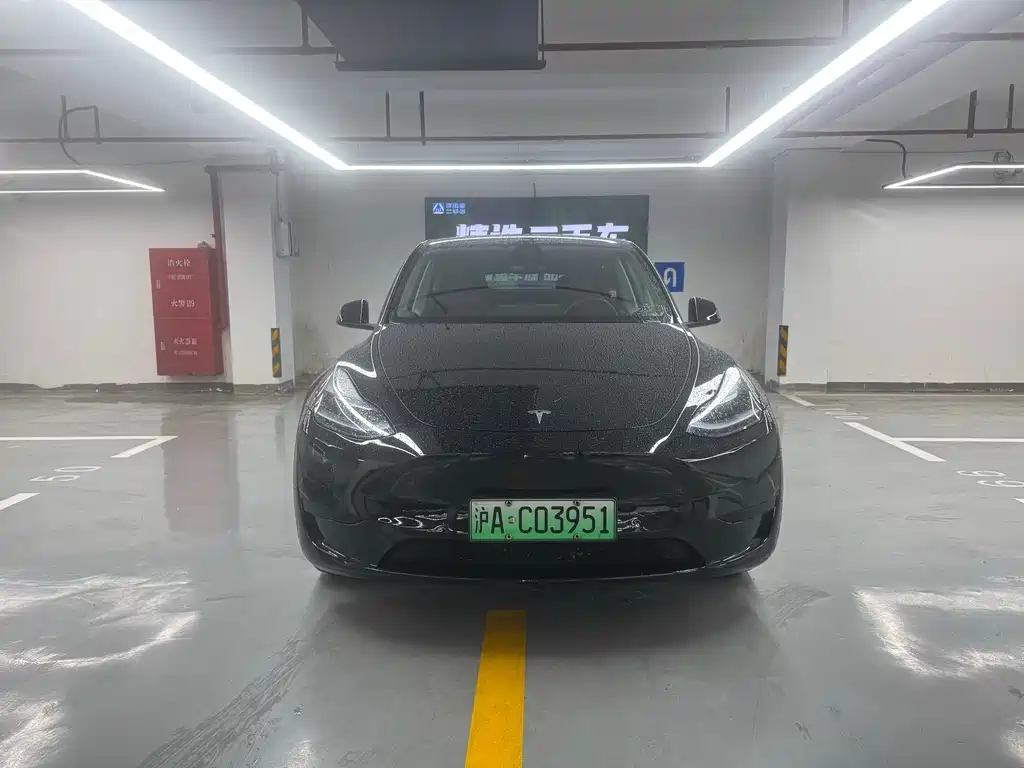 Tesla Model Y — фото 2