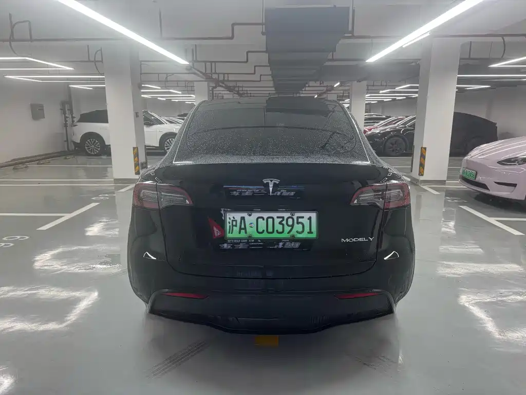 Tesla Model Y — фото 4