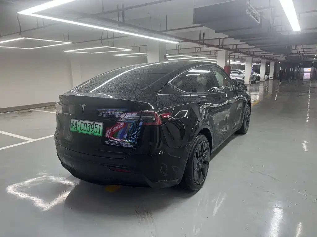 Tesla Model Y — фото 5