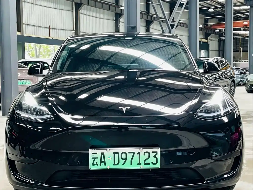 Tesla Model Y — фото 2