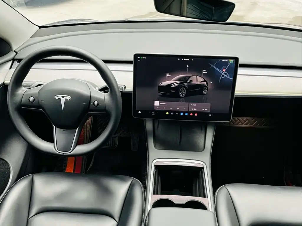 Tesla Model Y — фото 14