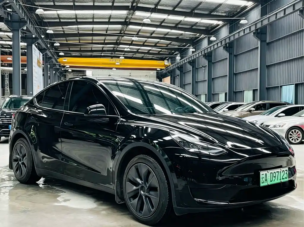 Tesla Model Y — фото 3
