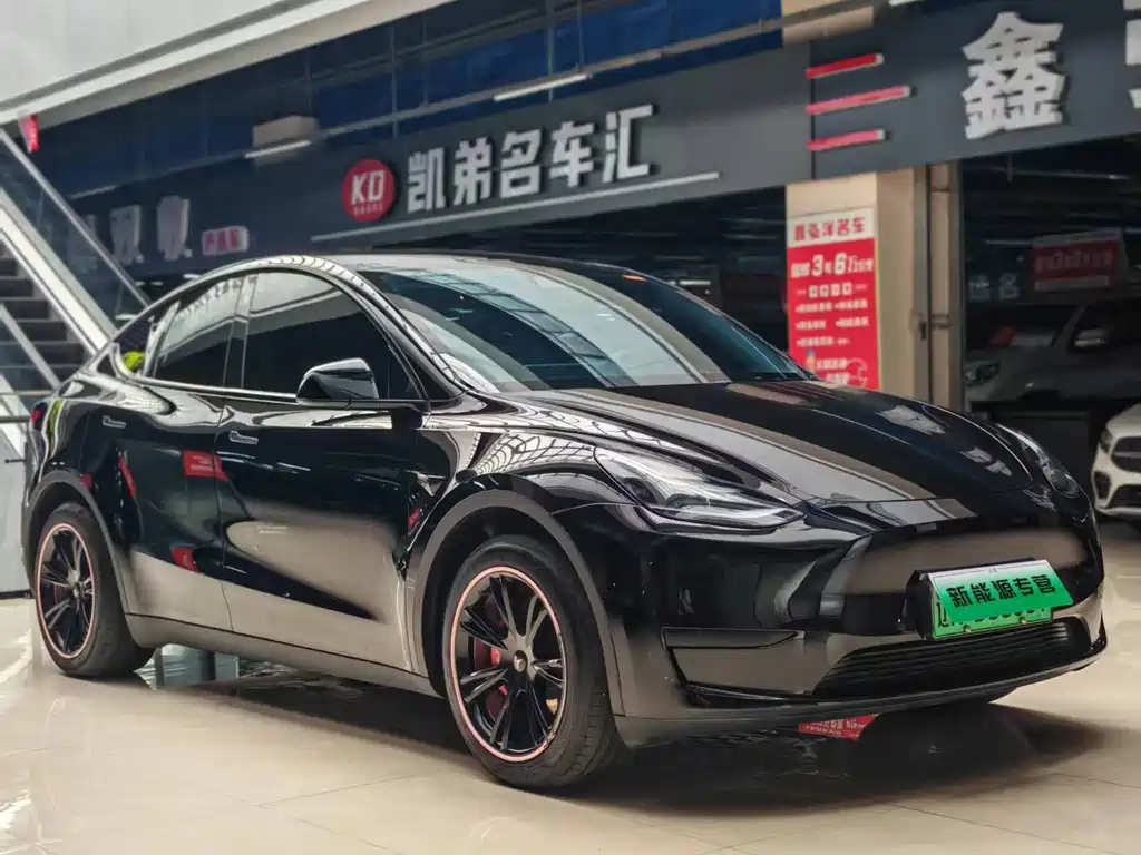 Tesla Model Y — фото 2