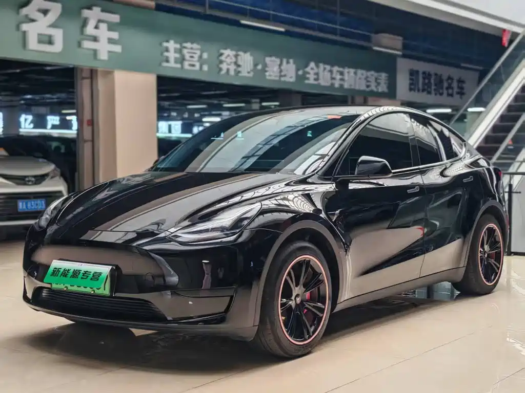Tesla Model Y — фото 3
