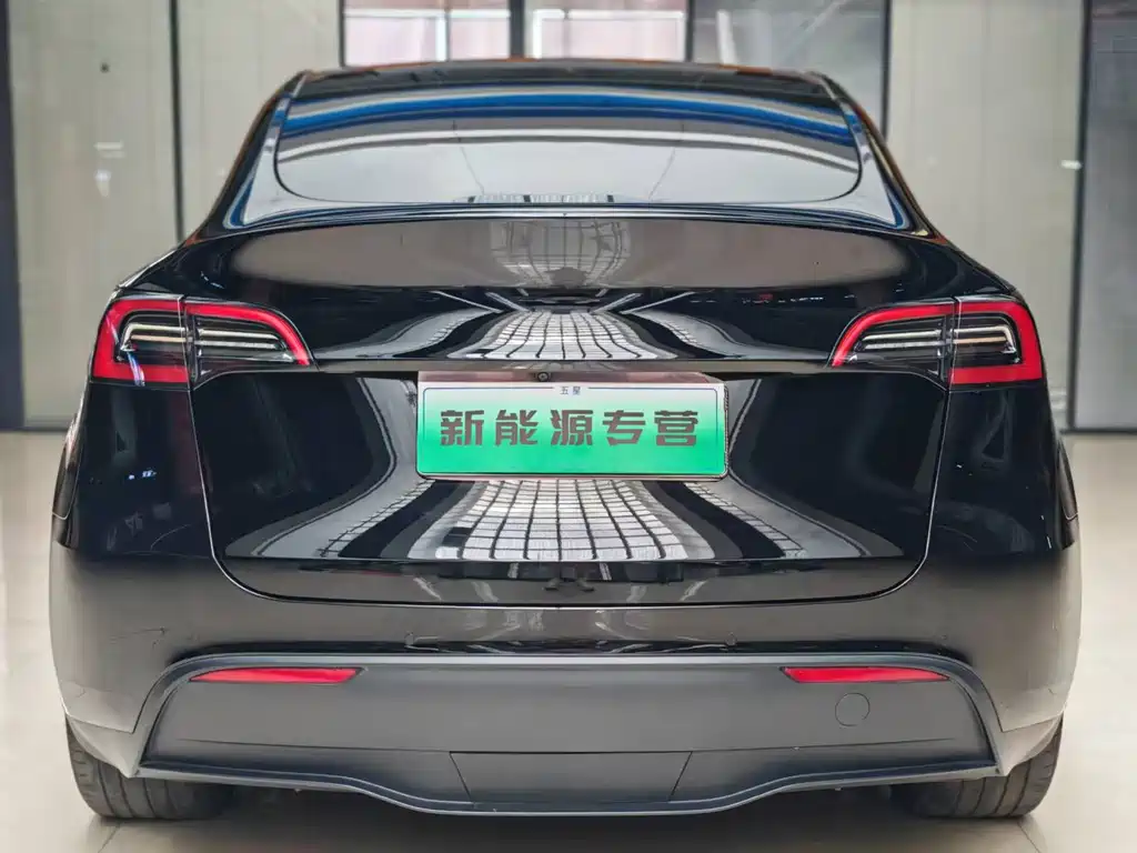 Tesla Model Y — фото 4