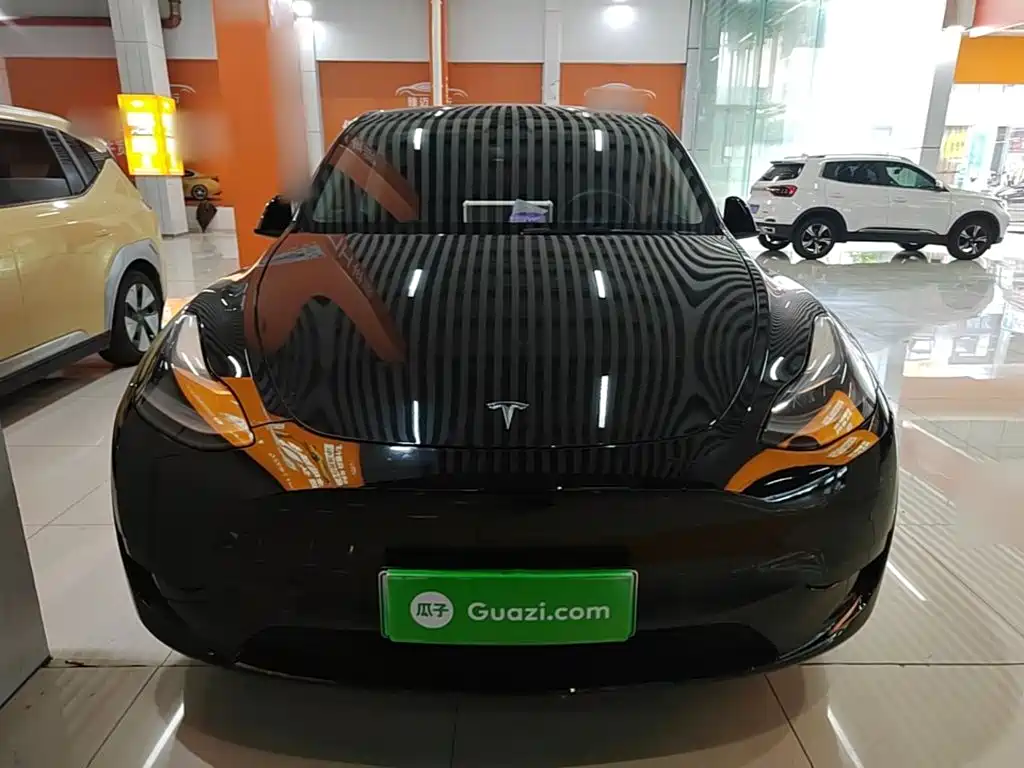 Tesla Model Y — фото 3