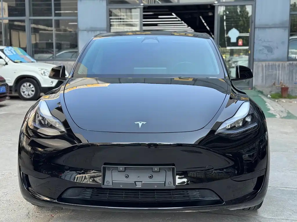 Tesla Model Y — фото 2