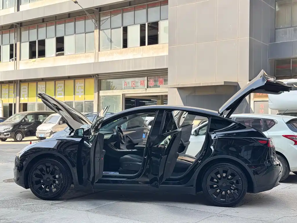 Tesla Model Y — фото 11