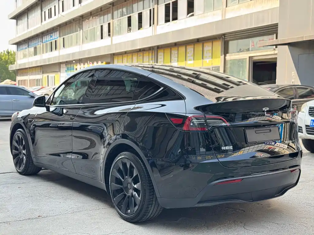 Tesla Model Y — фото 15