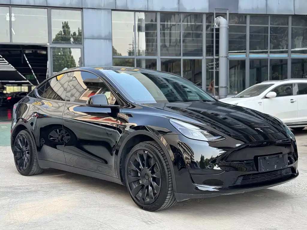 Tesla Model Y — фото 3