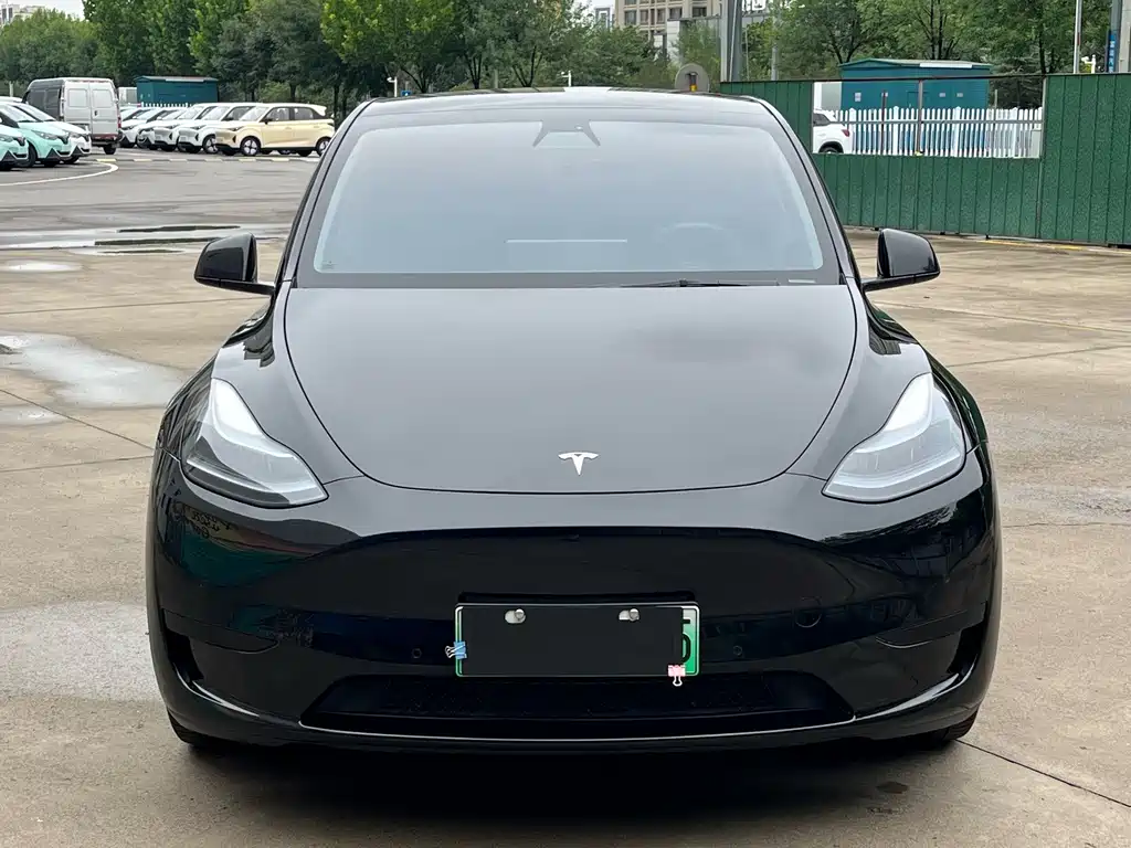 Tesla Model Y — фото 2