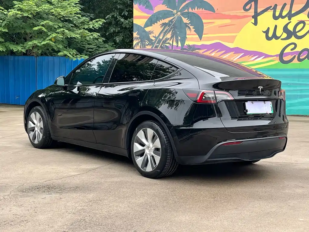 Tesla Model Y — фото 4