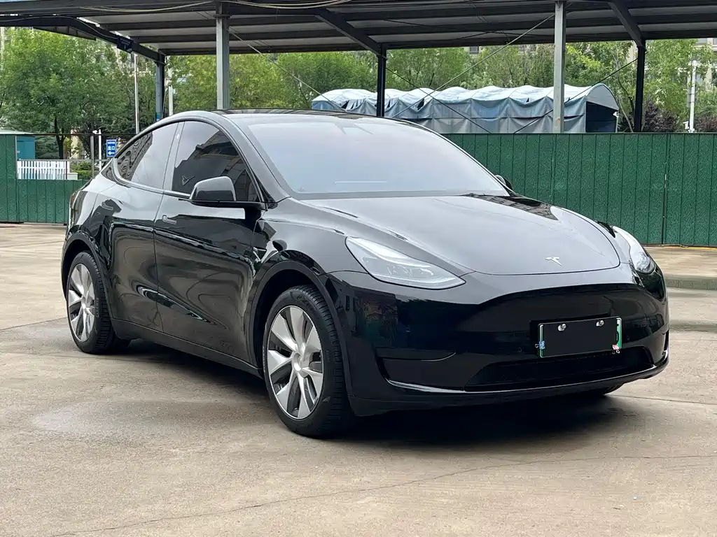 Tesla Model Y — фото 8
