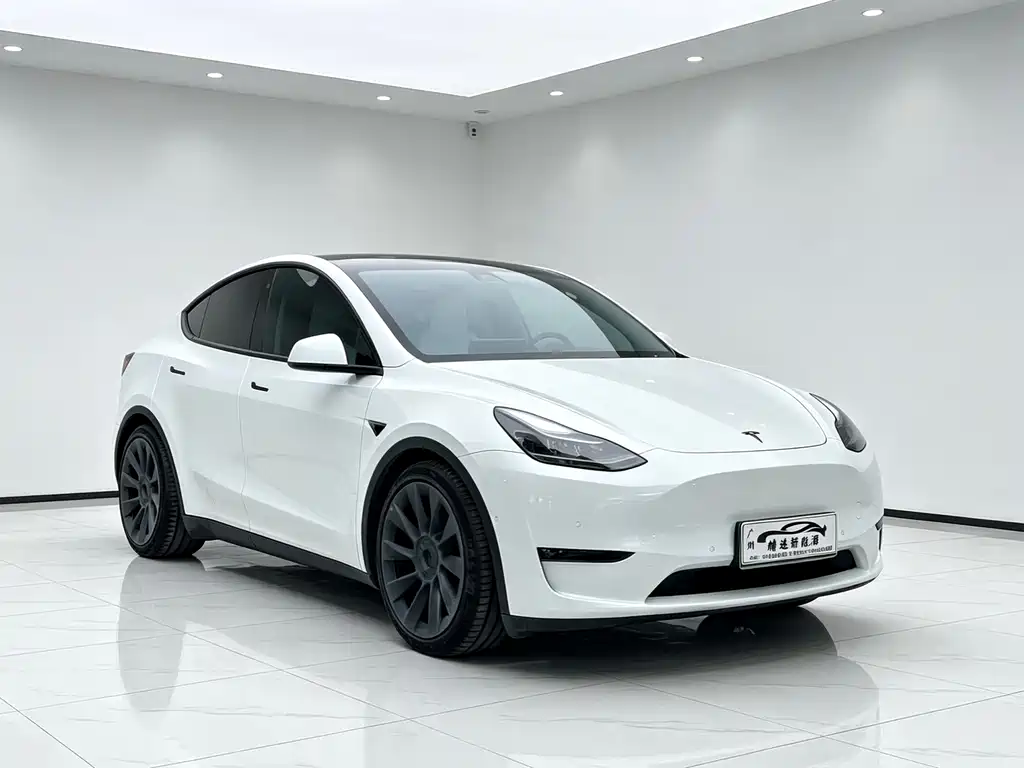 Tesla Model Y — фото 3
