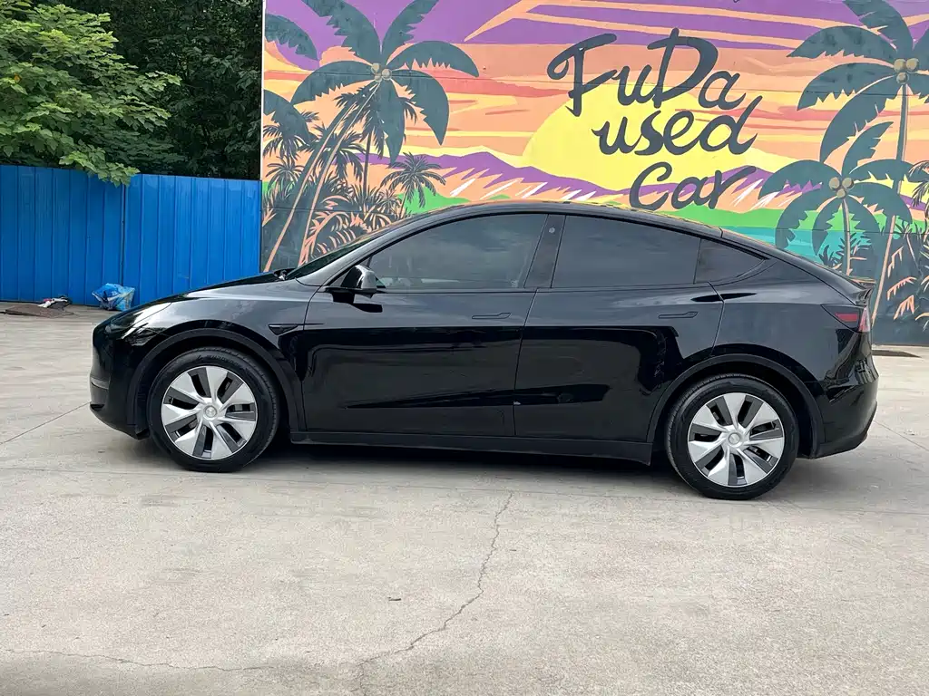 Tesla Model Y — фото 3