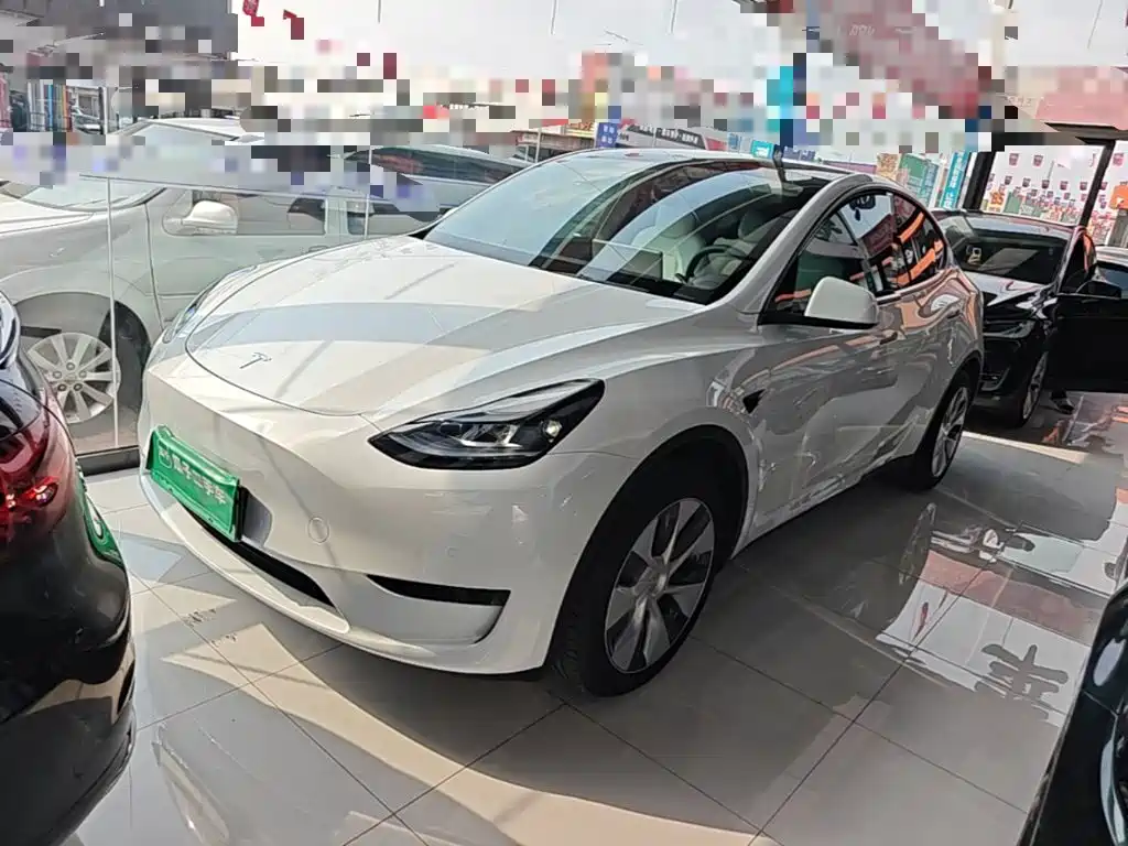 Tesla Model Y — фото 2