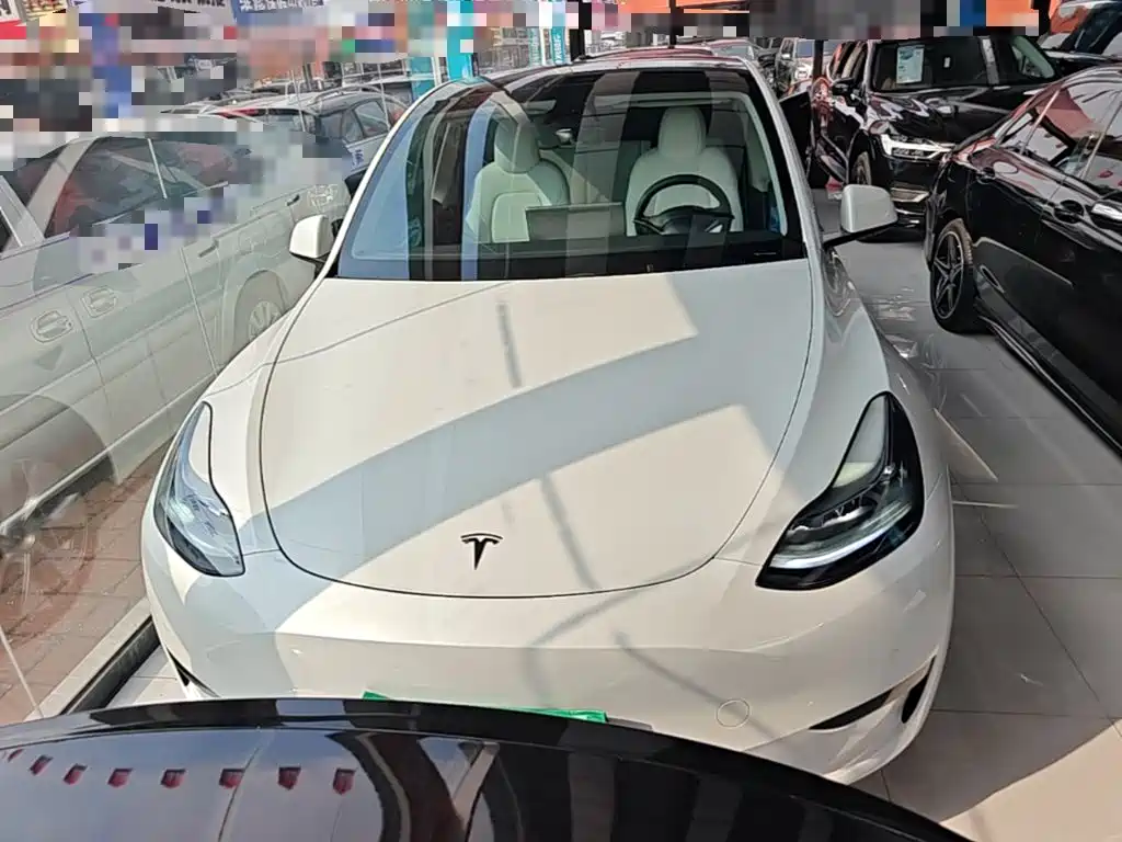 Tesla Model Y — фото 3