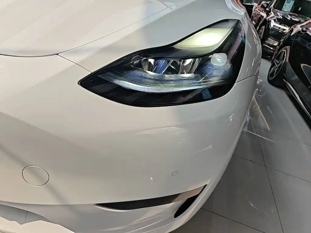 Tesla Model Y — фото 24