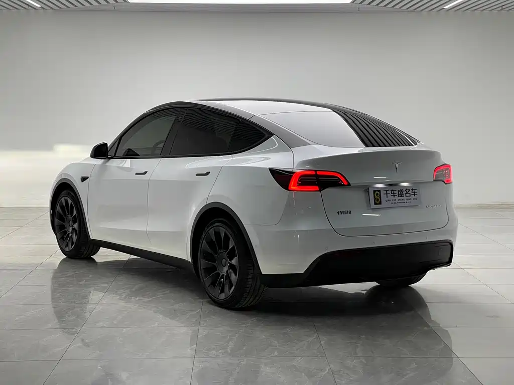 Tesla Model Y — фото 4