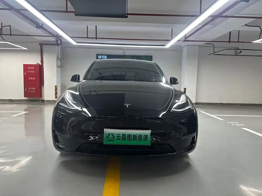 Tesla Model Y — фото 2