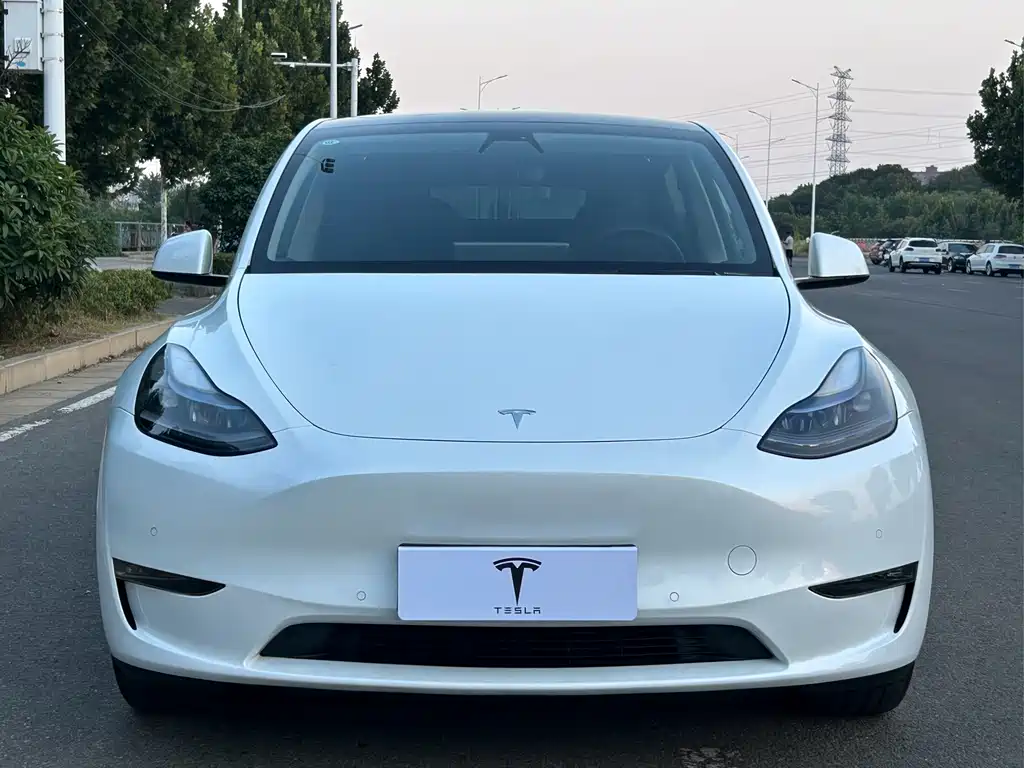 Tesla Model Y — фото 2