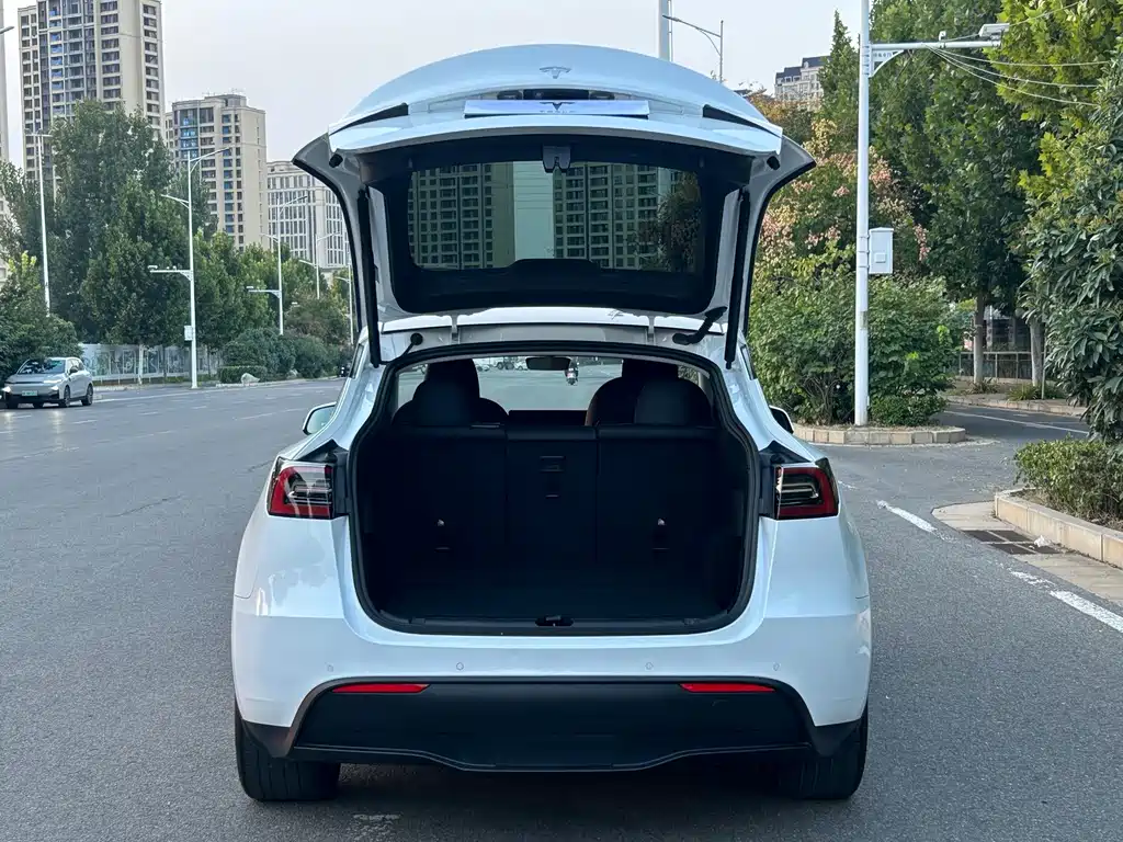 Tesla Model Y — фото 11