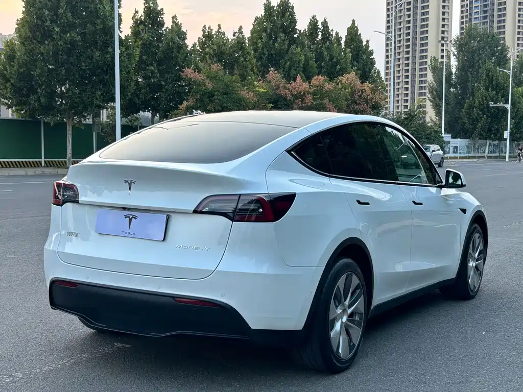Tesla Model Y — фото 13