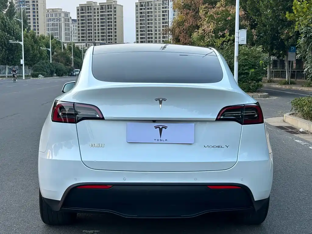Tesla Model Y — фото 14