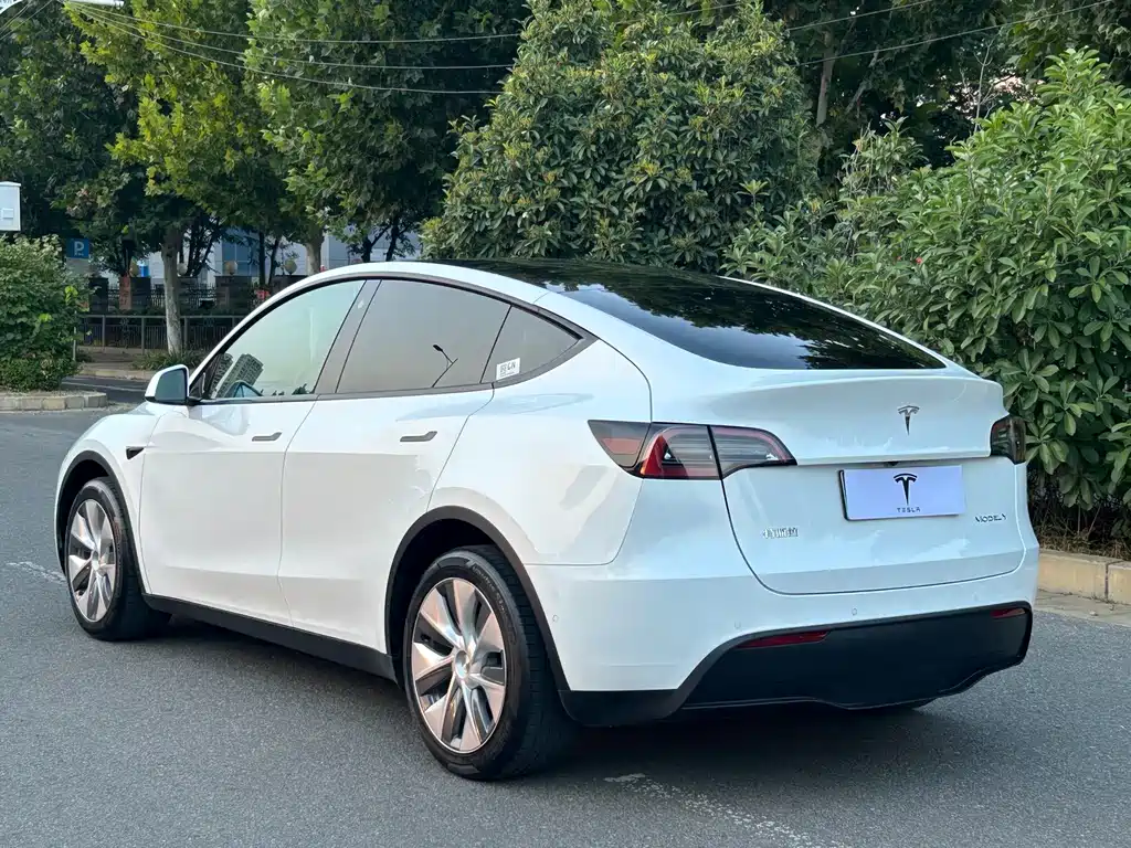 Tesla Model Y — фото 15