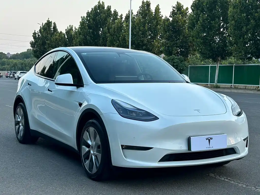 Tesla Model Y — фото 3
