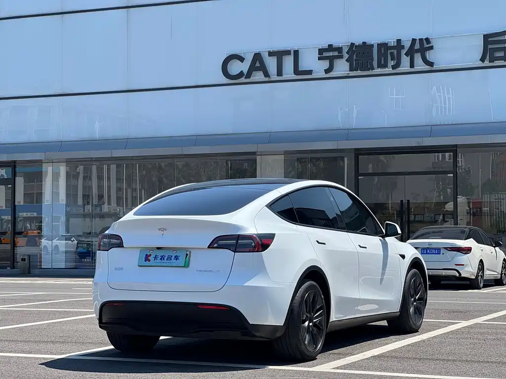 Tesla Model Y — фото 3