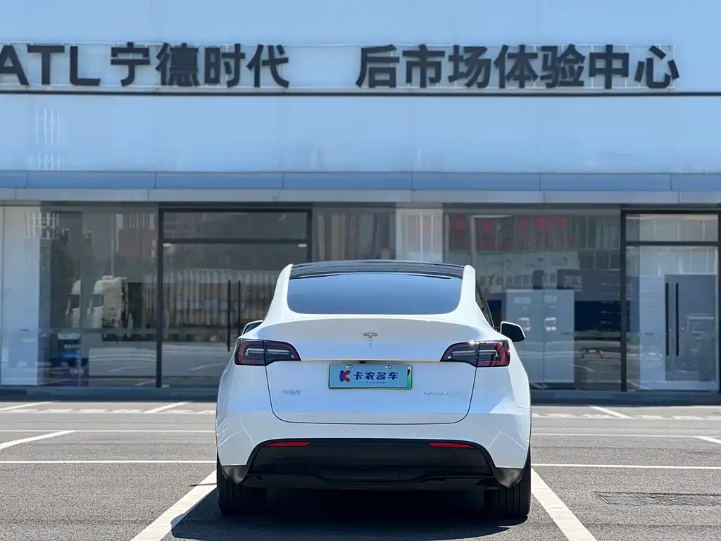 Tesla Model Y — фото 4